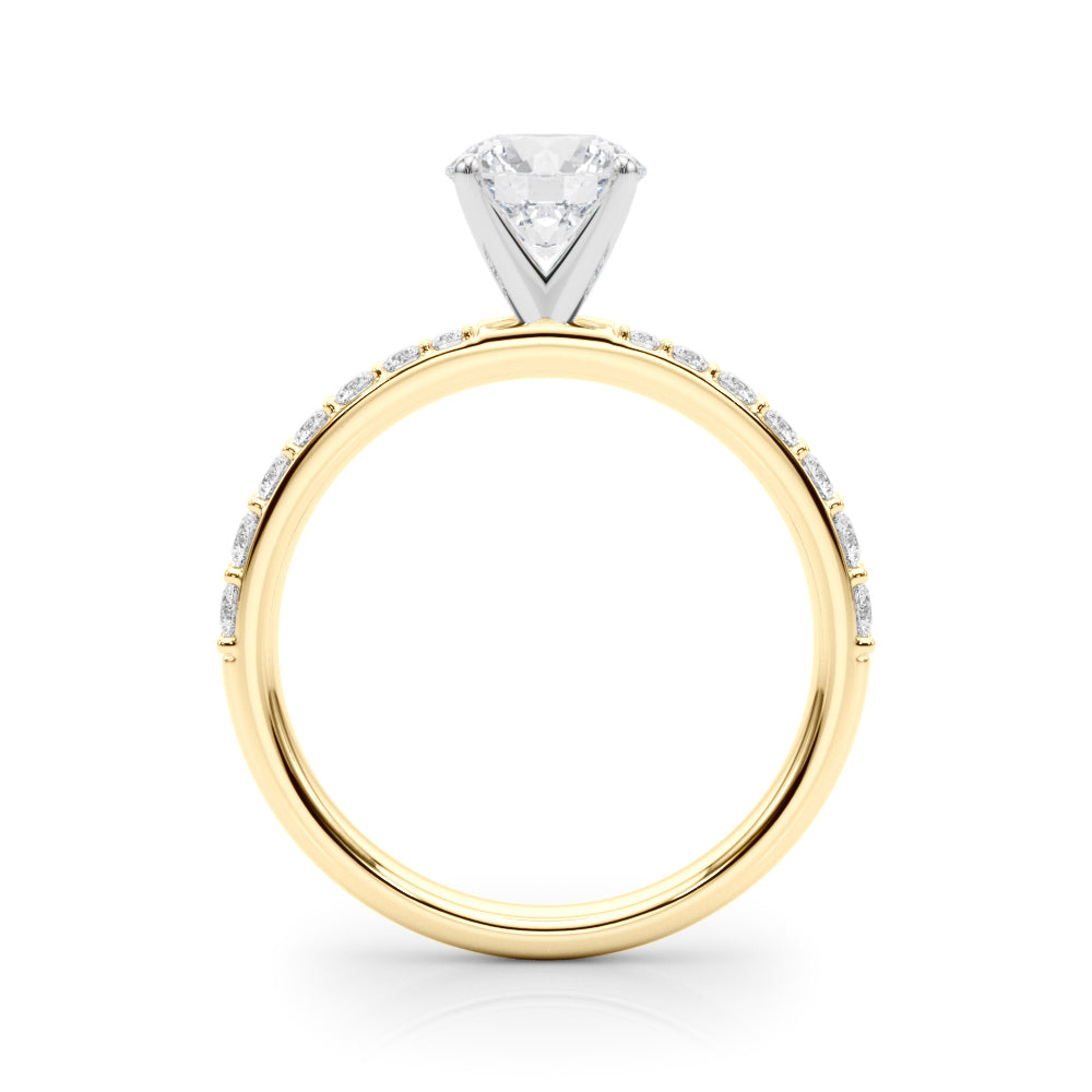 Classic Pavé Diamond Engagement Ring (1/3 ct. tw.)